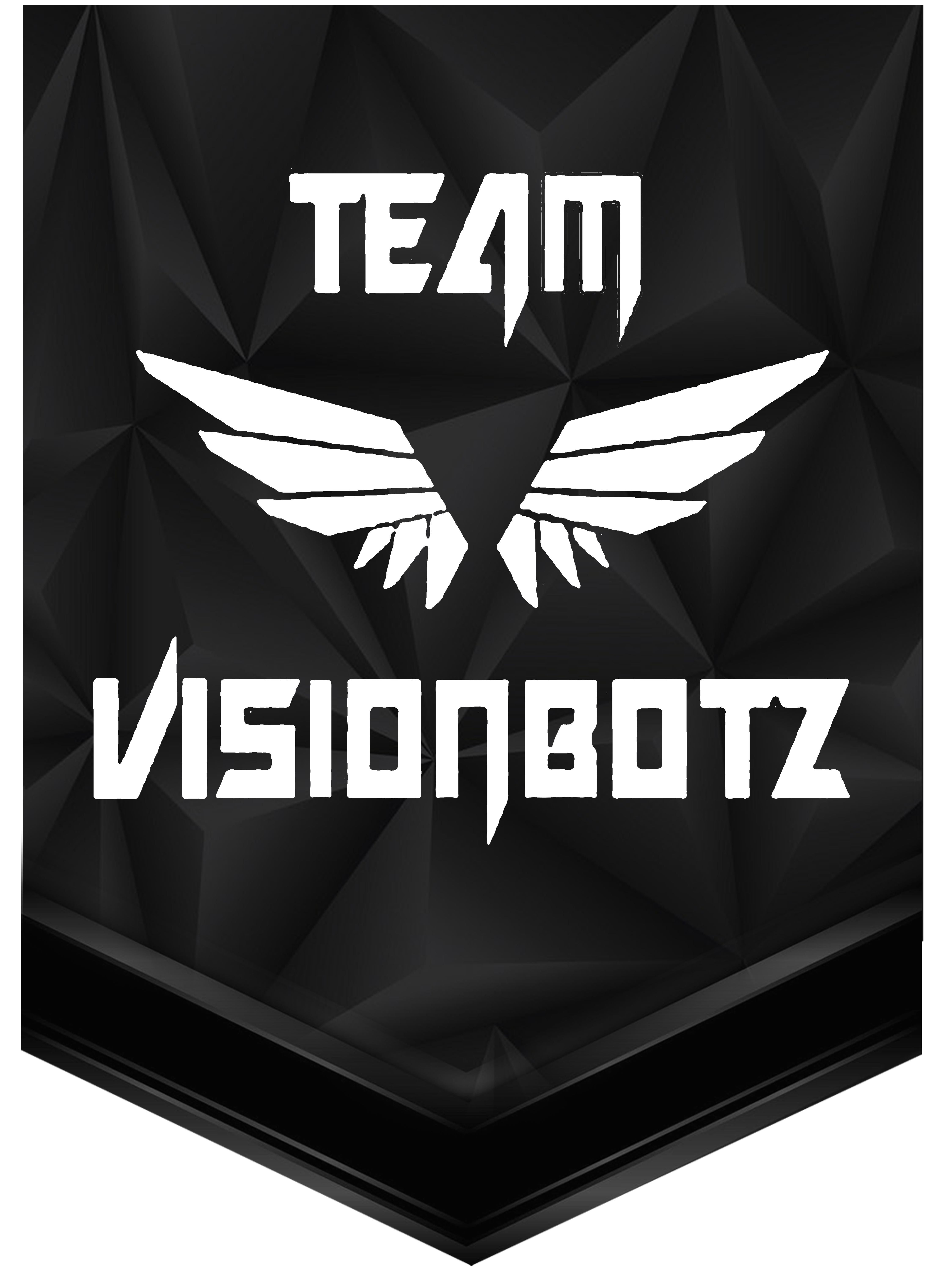 Vision Botz